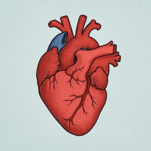 انشا-جانشین-سازی-قلب